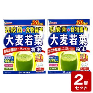 《お買い得2個セット》山本漢方の青汁 乳酸菌プラ...の商品画像