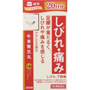 【第2類医薬品】「クラシエ」漢方牛車腎気丸料エキス錠 240錠｜nanohanadrg