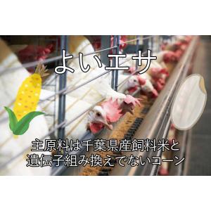 鶏卵 菜の花エッグブランド アスタキサンチン卵...の詳細画像2