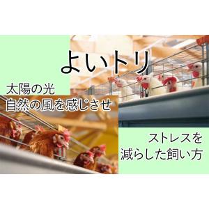鶏卵 菜の花エッグブランド アスタキサンチン卵...の詳細画像3