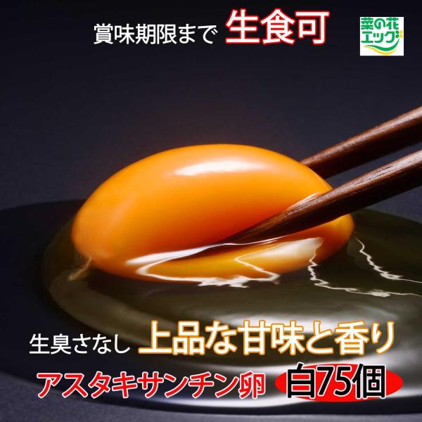 鶏卵 菜の花エッグブランド アスタキサンチン卵 白玉75個