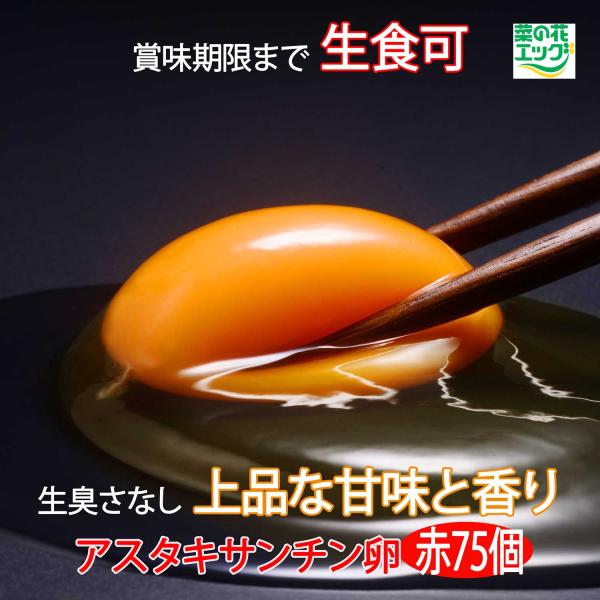 鶏卵 菜の花エッグブランド アスタキサンチン卵赤玉75個