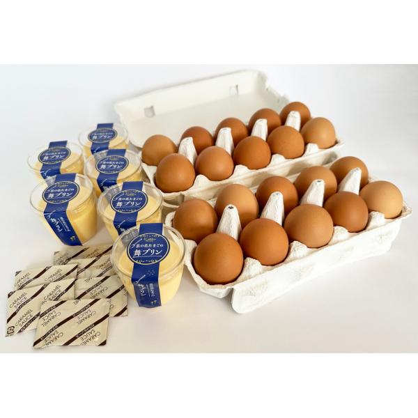 ギフトセット クリスマス 誕生日 菜の花エッグブランド詰め合わせセットB 生食可 生臭無し