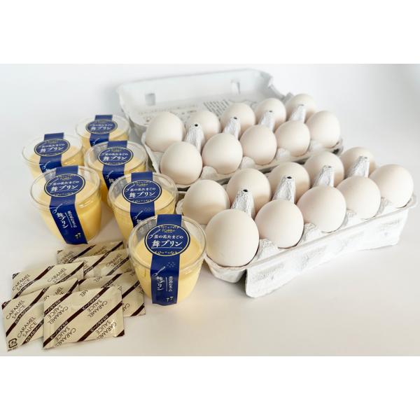 ギフトセット クリスマス 誕生日 菜の花エッグブランド詰め合わせセットC 生食可 生臭無し