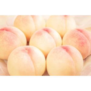桃　極甘・まみむめ桃　ご家庭　2kg (6〜8玉)　糖度１５度以上　糖度保証　極甘　時期指定不可（７月末頃〜９月中旬頃）　完熟　有袋　産地直送　岡山県産　白桃