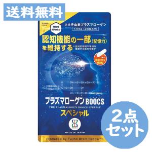 プラズマローゲン BOOCS スペシャル 粉末カプセル (60粒入り／約1ヶ月分) 2点セット サプリメント 国産 認知機能 記憶力【機能性表示食品】｜nanokitadrug