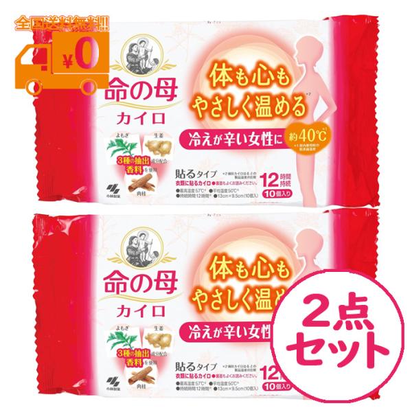 命の母 カイロ 貼るタイプ (10個入) 冷えが辛い女性に 2点セット 使い捨て 冷え性 日本製【小...