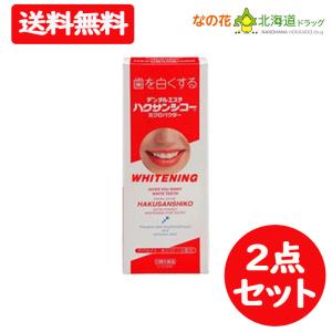 ハクサンシコー ミクロパウダー 30g  ２点セット 歯磨き粉 ホワイトニング【中部薬品工業】