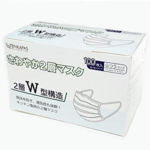TENKAPAS 2層マスク 100枚入り レギュラーサイズ 取り寄せ商品