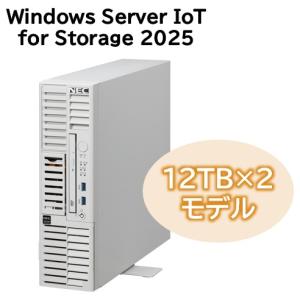 iStorage NS100Tm (Xeon 6315P/16GB/HDD・24TB/Windows Server IoT 2025 for 取り寄せ商品