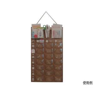 アズワン 抗菌おくすりハウスR みまもり習慣 1週間1日3回用  取り寄せ商品