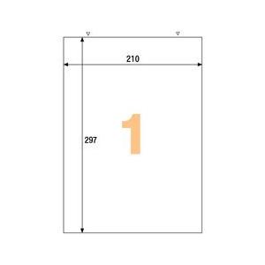 エコノミーラベル ノーカット 取り寄せ商品