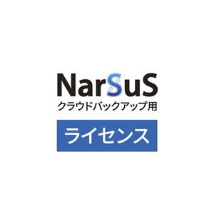 NarSuSバックアップ300GB5年版 取り寄せ商品