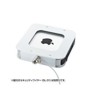 サンワサプライ Mac miniセキュリティ(eセキュリティ) SLE-21SMM メーカー在庫品