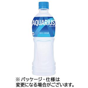 アクエリアス 500mL ペットボトル 1セット(48本:24本×2ケース) 目安在庫=○