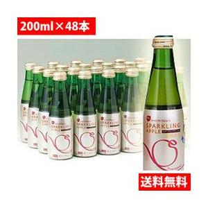 シャイニー 青森の味 スパークリングアップルジュース スタンダード 瓶 0ml 48本 目安在庫 コンプモト ヤフー店 通販 Yahoo ショッピング