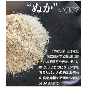 香ばしい 玄米パウダー 美養玄米GABA200...の詳細画像3