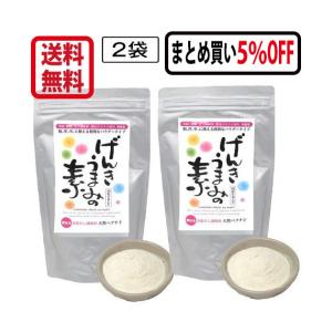 「げんきうまみの素」粉末タイプ(300g)2袋セット【5%OFF】 天然ペプチドだし 青魚 昆布 大蒜 生姜 旨味調味料 和洋中