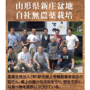 小粒納豆「わらすこ」(90g×10個) 遺伝子...の詳細画像5