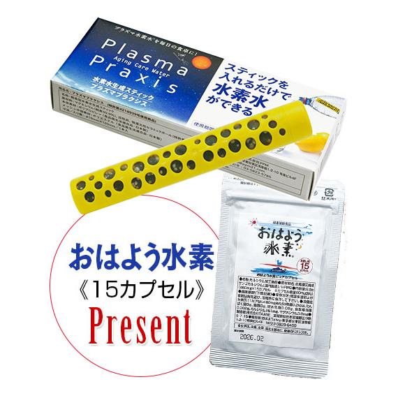 水素水生成スティック プラズマプラクシス1本入 水素水 還元水 美味しい水 飲みやすい水