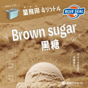 メガ盛り ブルーシールアイス 黒糖 業務用 大容量 4リットル 沖縄 アイスクリーム ご褒美 ファミリー BLUE SEAL ICE Sugar cane