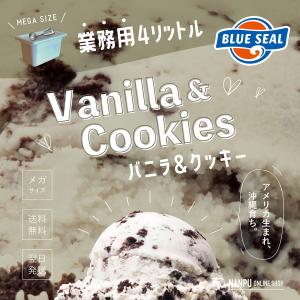 ブルーシールアイス バニラ＆クッキー 業務用 大容量 4リットル 沖縄 アイスクリーム 仕入れ BLUE SEAL ICEの商品画像