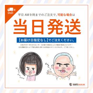 アイス ブルーシール マンゴー 通販 業務用 ...の詳細画像4