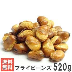 フライビーンズ 520g おためしメール便 南風堂 揚げそら豆 いかり豆 国内加工