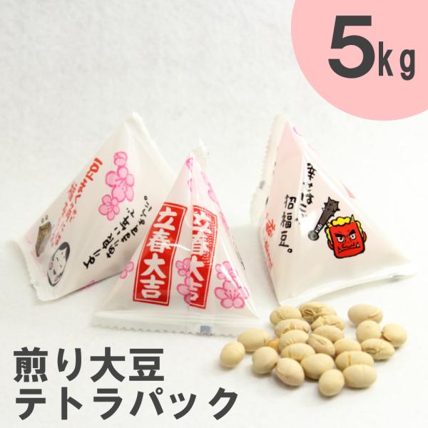 煎り大豆テトラパック 1kg×5袋 南風堂 業務用ケース 九州産フクユタカ 個包装