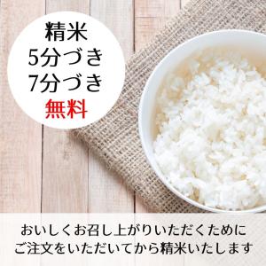 ゆめぴりか 玄米の商品一覧｜米、ごはん｜米、雑穀、粉類｜食品 通販 
