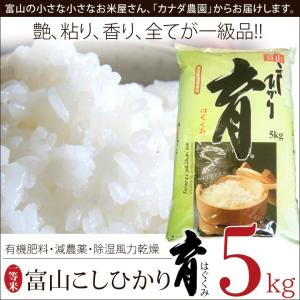 新米 令和6年度産 こしひかり コシヒカリ 富山県産 5kg 普通米 無洗米 育 はぐくみ 　メーカー直送品