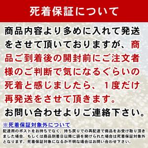 【+300ml増量!合計700ml】ゾウリムシ...の詳細画像1
