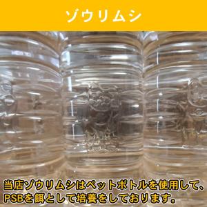 【+300ml増量!合計700ml】ゾウリムシ...の詳細画像2