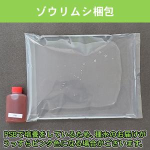 【+300ml増量!合計700ml】ゾウリムシ...の詳細画像3