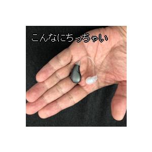 2個セット集音器 ギガボイスY(両耳タイプ) ...の詳細画像1