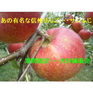 信州りんご・サンふじ　特秀約５ｋｇ　 大特価　数に制限あり　