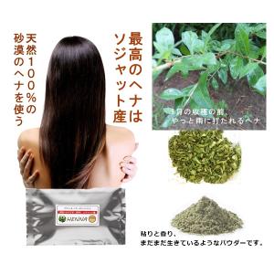 2025年10月 マクバールヘナ ヘア染毛剤（ヘナ） 100g ソジャット産