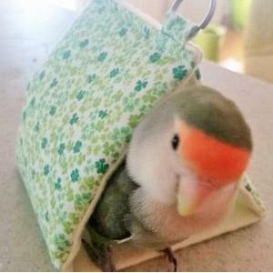 バードテント バードベッド インコテント 寝床 マメルリハ