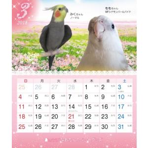 2018年 オカメづくし 四季カレンダー 1冊の詳細画像3