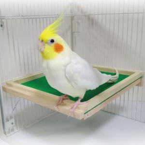 脚の悪い鳥・小動物用 やわらかソフトステージ（バリアフリー 介護 老鳥）｜naotan-pet-goods