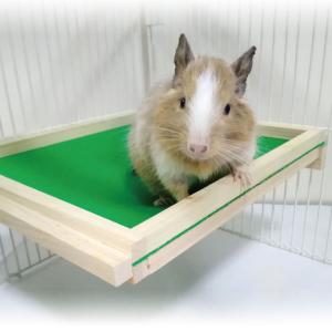 デグー コーナーハンモックベッド 寝床（デグー・シマリス・モモンガ用