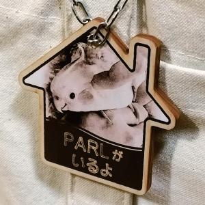ケージ用 ネームプレート（名札）鳥、犬、猫、うさぎ、チンチラ