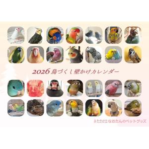 2026年 鳥づくし壁掛けカレンダー インコ 小...の商品画像