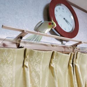 HOEI HOEI 40底止 ステンレス（2ヶセット）クリップ 止め金具 鳥かご