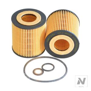 【並行輸入品】BMW E81 E82 E83 E84 E87 E90 E91 E92 E60 E61 116I 118I 120I 316I 318I 320I 520I X1 X3 Z4 11427508969 11427501676用オイルフィルター