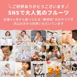 ドライフルーツ いちご 苺 1パック 赤ちゃん...の詳細画像1