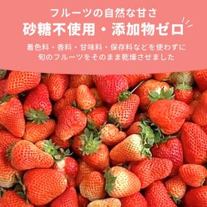 ドライフルーツ いちご 苺 1パック 赤ちゃん...の詳細画像3