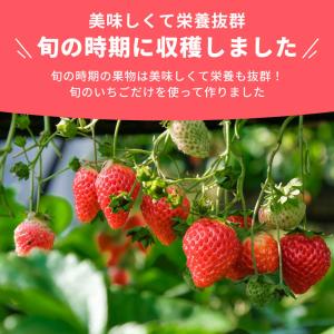 ドライフルーツ いちご 苺 1パック 赤ちゃん...の詳細画像4