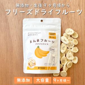 ヤマサン おやつな果実 フリーズドライ バナナ フルーツ ドライ