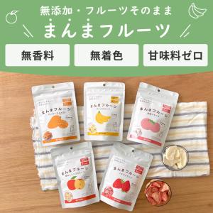 【選べる3袋】赤ちゃん 子どものおやつ 無添加...の詳細画像2